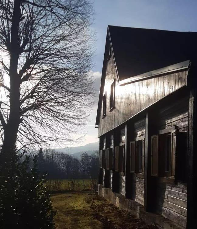 Chalupa Lichtenberg/ Svetlik Horni Podluzi Exterior foto