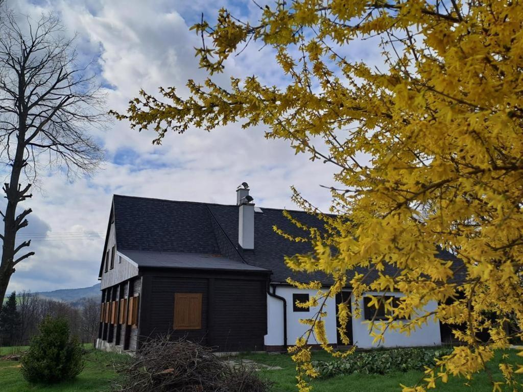 Chalupa Lichtenberg/ Svetlik Horni Podluzi Exterior foto